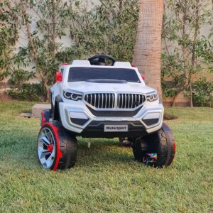 Voiture à batterie BMW Type 4*4 Multi-couleures 12V