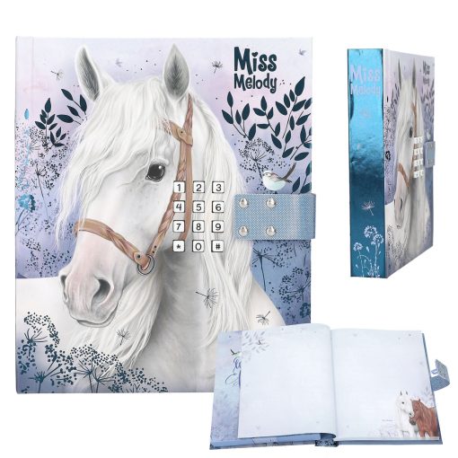 Journal Intime avec Code chiffré et Son Depesche